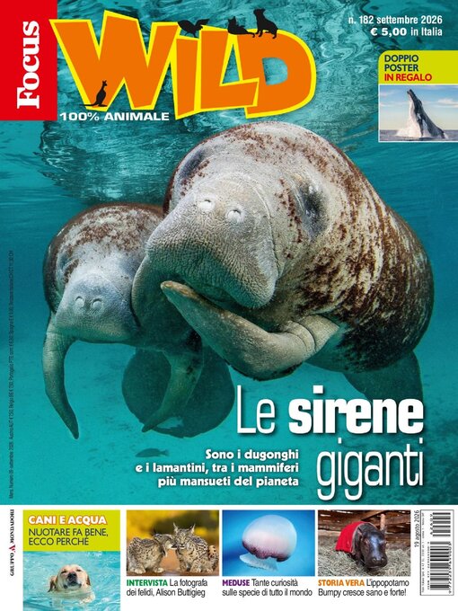 Cover image for Focus Wild 